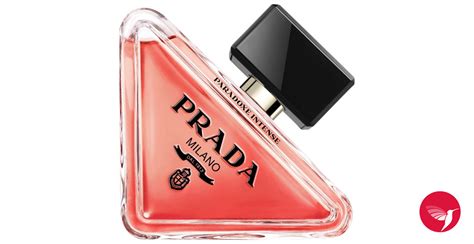 prada paradox intense perfume|prada paradoxe intense for women.